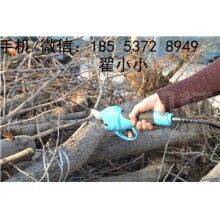 全自動(dòng)修枝剪，高效又省力